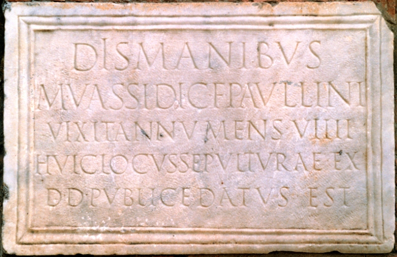 M.Vassidio Paullino